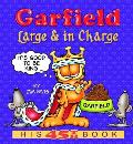 Garfield Large & In Charge