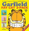 Garfield Fat Cat 3 Pack Volume 5