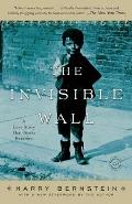 Invisible Wall A Love Story That Broke Barriers