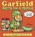 Garfield Gets In a Pickle
