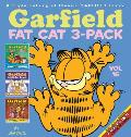 Garfield Fat Cat 3 Pack 16