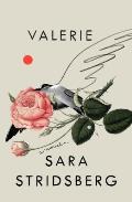 Valerie or A Faculty of Dreams A Novel