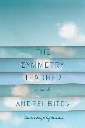 Symmetry Teacher