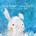 Snow Rabbit Spring Rabbit A Book of Changing Seasons