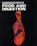 Food & Digestion How Our Bodies Work