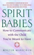 Spirit Babies How to Communicate with the Child Youre Meant to Have