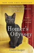 Homers Odyssey a Fearless Feline Tale