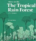 Tropical Rain Forest A First Encounter