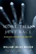 More Than Just Race: Being Black and Poor in the Inner City