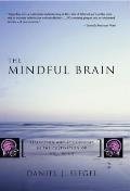 Mindful Brain Reflection & Attunement in the Cultivation of Well Being