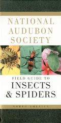 National Audubon Society Field Guide to North American Insects & Spiders