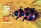 National Audubon Society Pocket Guide to Familiar Insects & Spiders
