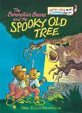 Berenstain Bears & the Spooky Old Tree