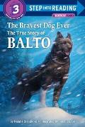 Bravest Dog Ever The True Story Of Balto