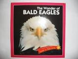 Read Soar Wonder Bald Eagles Lv3 99