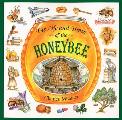 Life & Times Of The Honeybee