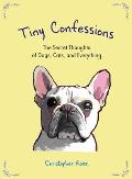 Tiny Confessions