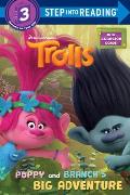 Poppy and Branch's Big Adventure (DreamWorks Trolls)