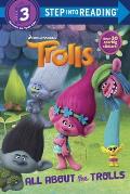 All about the Trolls DreamWorks Trolls