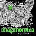 Imagimorphia An Extreme Coloring & Search Challenge