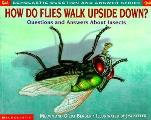 How Do Flies Walk Upside Questions & Answers About Insects