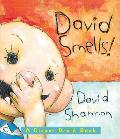 David Smells A Diaper David Book