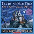 On a Scary Scary Night Picture Puzzles to Search & Solve