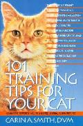 101 Training Tips For Your Cat