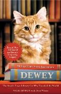 Dewey The Small Town Library Cat Who Touched the World