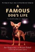 Famous Dogs Life The Story of Gidget Americas Most Beloved Chihuahua