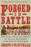 Forged In Battle The Civil War Alliance