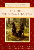 Dogs Who Came To Stay