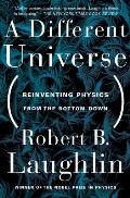 Different Universe Reinventing Physics from the Bottom Down