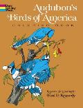 Audubons Birds Of America Coloring Book