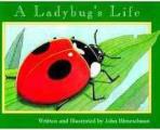 Ladybugs Life