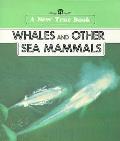 Whales & Other Sea Mammals