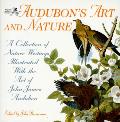 Audubons Art & Nature A Collection