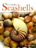 World Of Seashells A Fully Illustrated