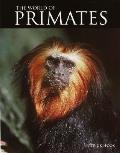 World Of Primates