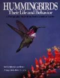 Hummingbirds Their Life & Behavior