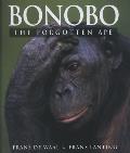Bonobo The Forgotten Ape