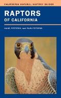 Raptors of California: Volume 82