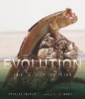 Evolution The Story of Life