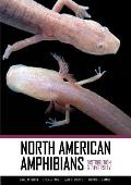 North American Amphibians: Distribution & Diversity
