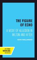 The Figure of Echo: A Mode of Allusion in Milton and After Volume 18