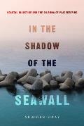 In the Shadow of the Seawall: Coastal Injustice and the Dilemma of Placekeeping