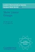 Skew Linear Groups