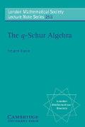 The Q-Schur Algebra