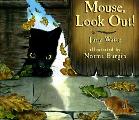 Mouse Look Out