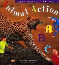 Animal Action Abc